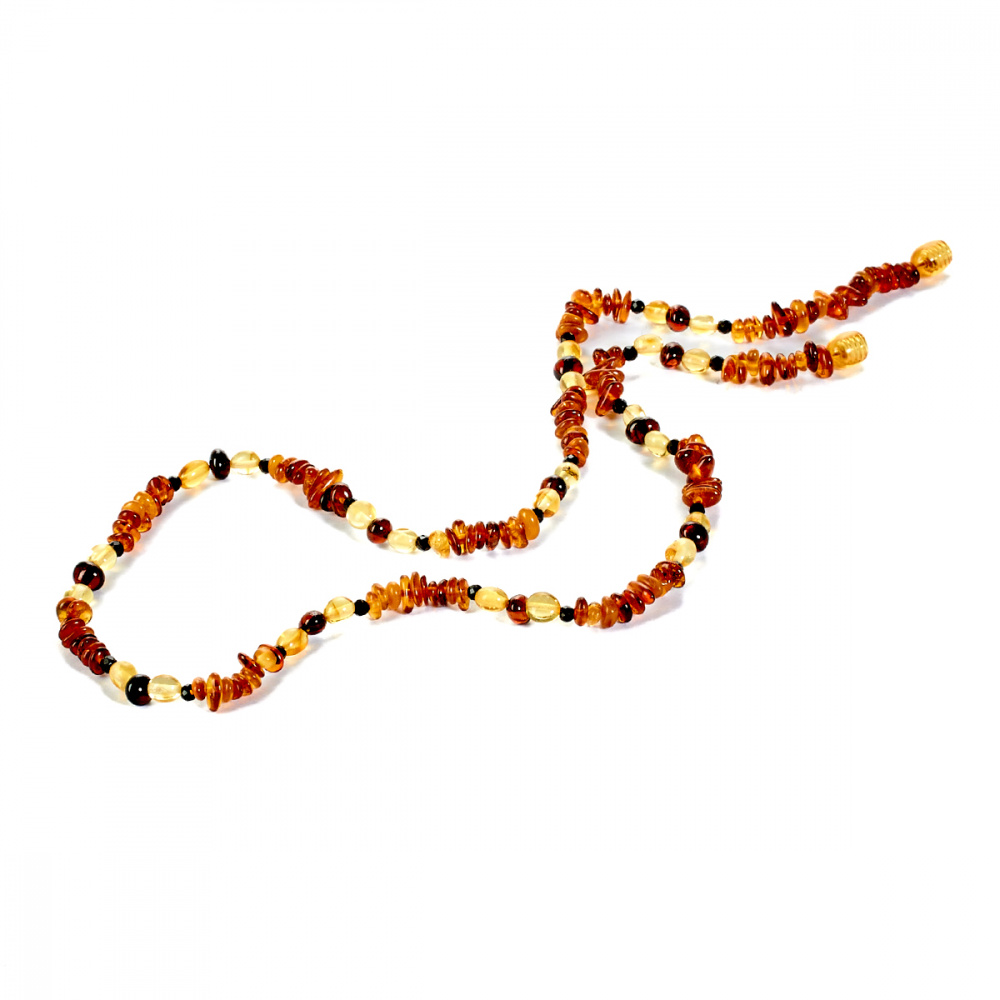 5562014004